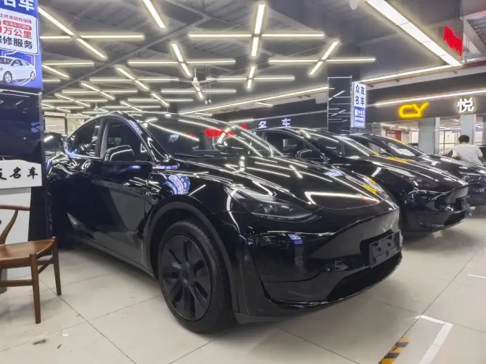 Model Y 2024 Model Rear-wheel drive version – фото 3