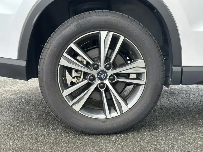BYD Song Pro DM 2022 Model DM-i 51km Noble Model – фото 7