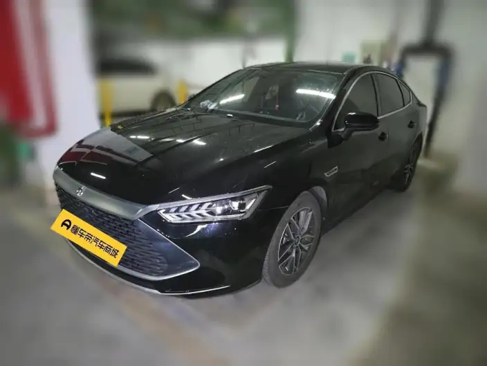 BYD Qin PLUS DM 2021 Model DM-i 55KM Flagship Model – фото 1