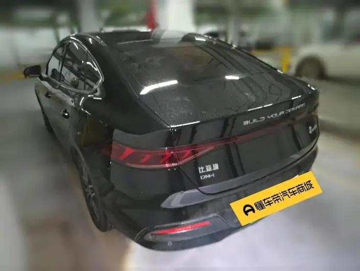 BYD Qin PLUS DM 2021 Model DM-i 55KM Flagship Model – фото 4