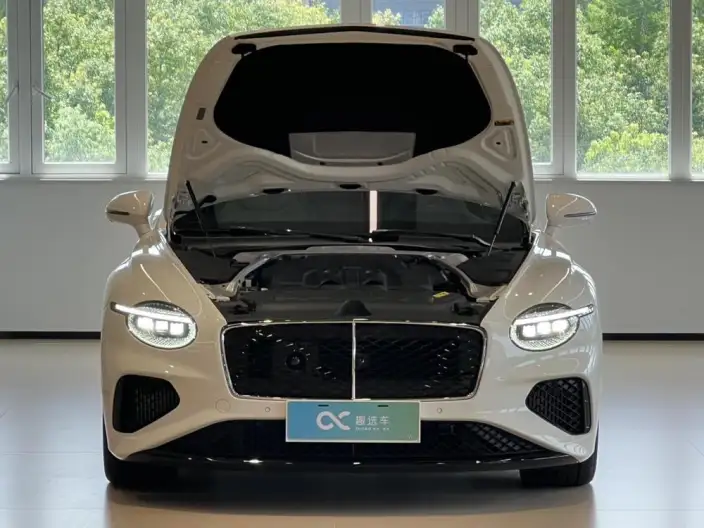 Continental PHEV 2026 Model GT – фото 8