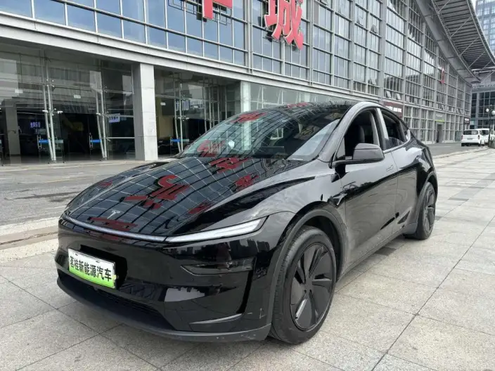 Model Y 2025 Model Rear-wheel drive version – фото 1