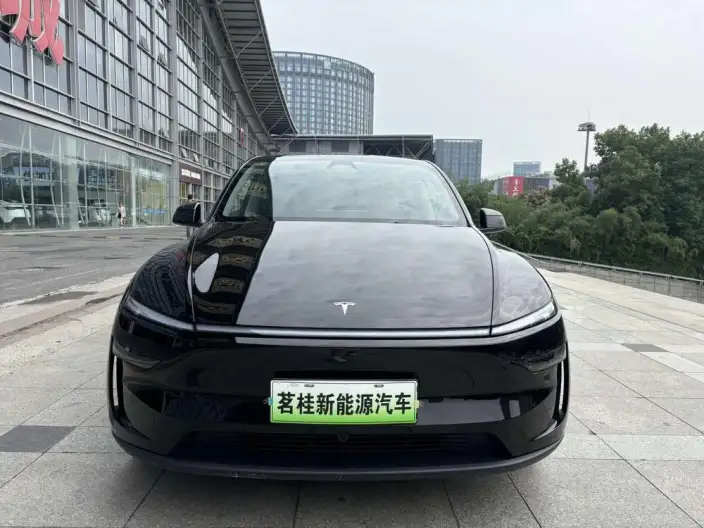 Model Y 2025 Model Rear-wheel drive version – фото 2