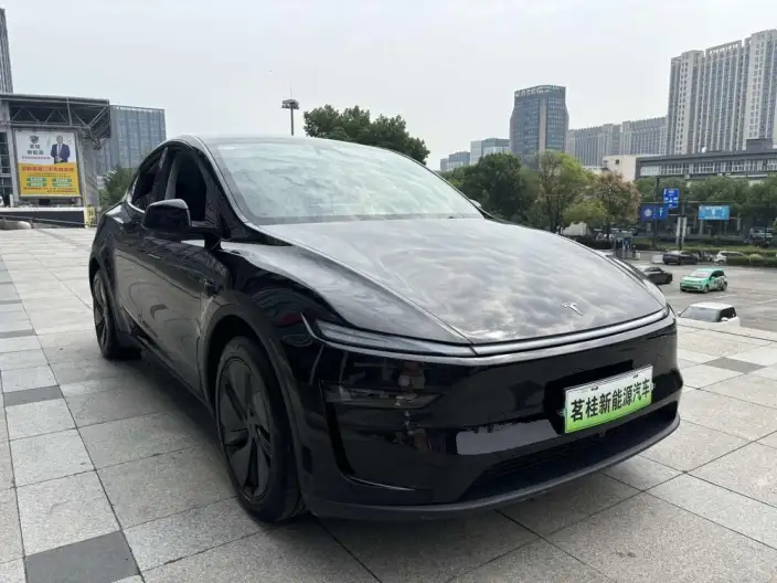 Model Y 2025 Model Rear-wheel drive version – фото 3