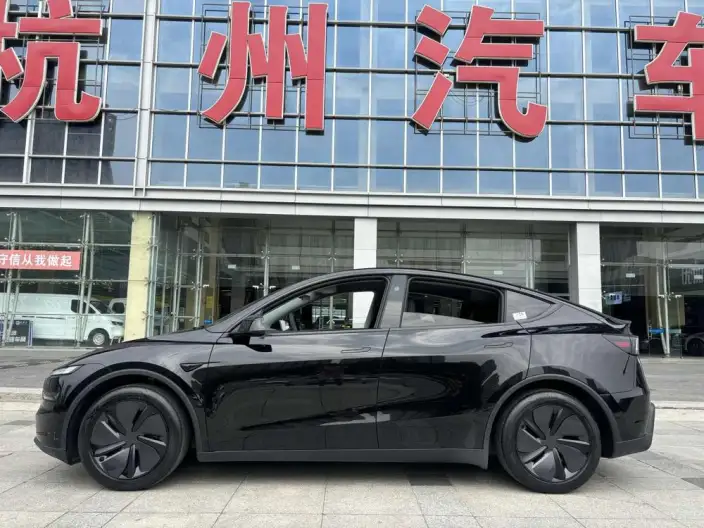 Model Y 2025 Model Rear-wheel drive version – фото 4