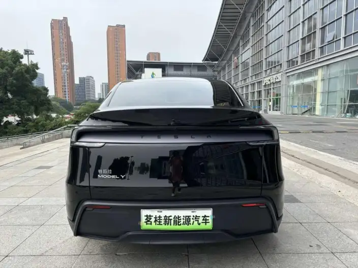 Model Y 2025 Model Rear-wheel drive version – фото 5