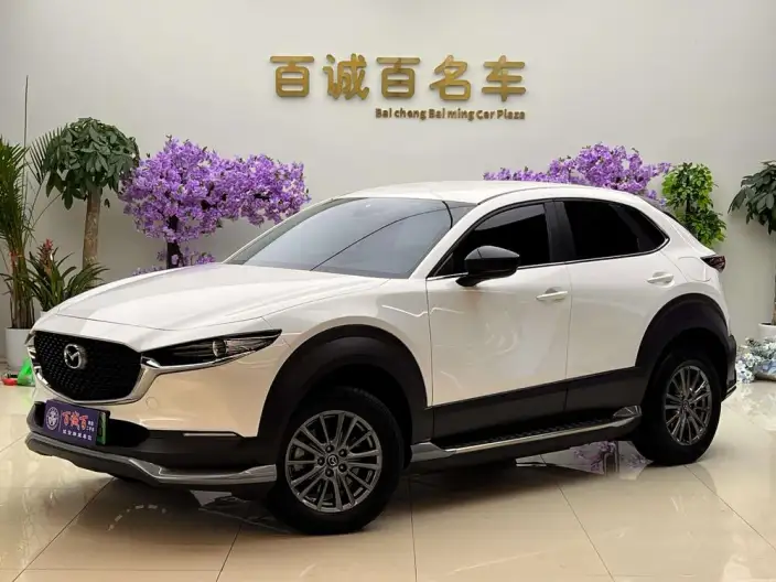 Mazda CX-30 EV 2021 Model EV Yuxiang Edition