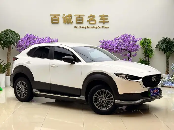Mazda CX-30 EV 2021 Model EV Yuxiang Edition – фото 2