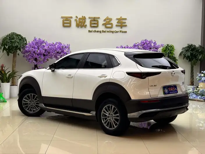 Mazda CX-30 EV 2021 Model EV Yuxiang Edition – фото 3