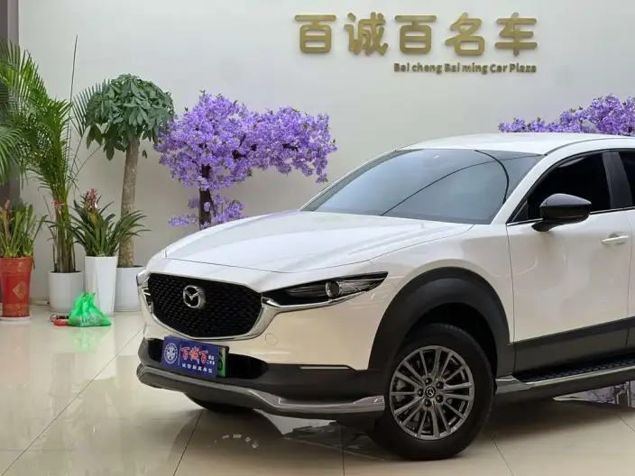 Mazda CX-30 EV 2021 Model EV Yuxiang Edition – фото 8