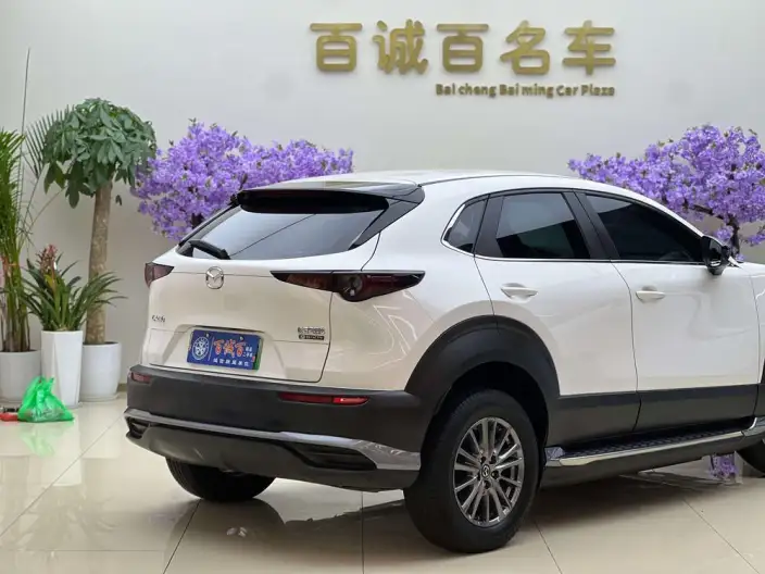 Mazda CX-30 EV 2021 Model EV Yuxiang Edition – фото 9
