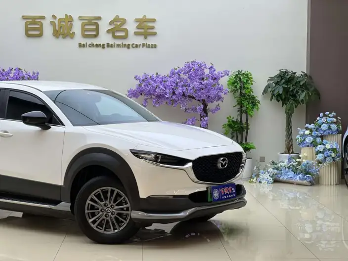 Mazda CX-30 EV 2021 Model EV Yuxiang Edition – фото 10