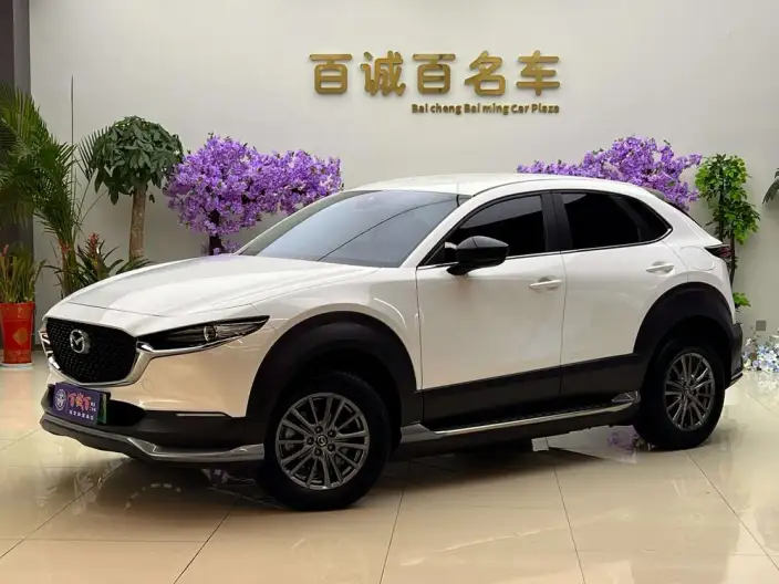 Mazda CX-30 EV 2021 Model EV Yuxiang Edition – фото 1