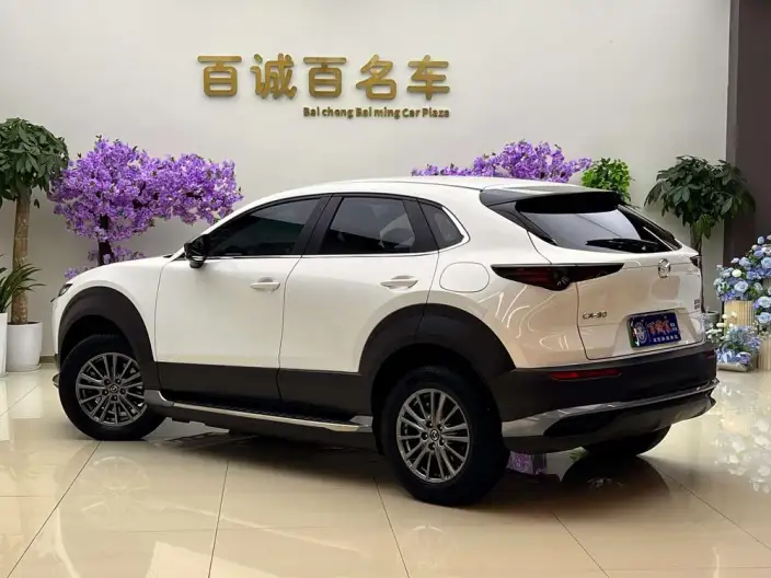 Mazda CX-30 EV 2021 Model EV Yuxiang Edition – фото 3