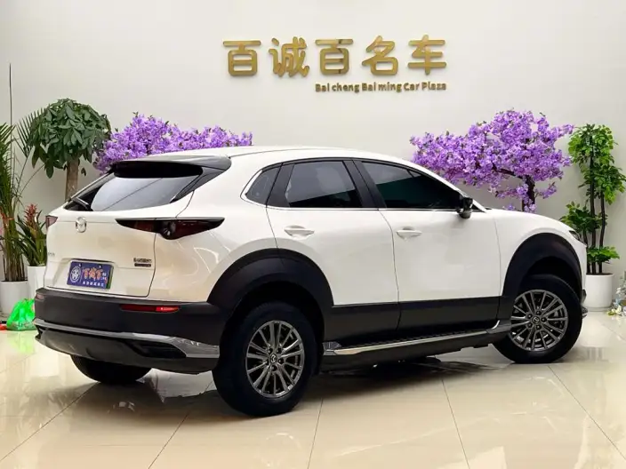 Mazda CX-30 EV 2021 Model EV Yuxiang Edition – фото 4