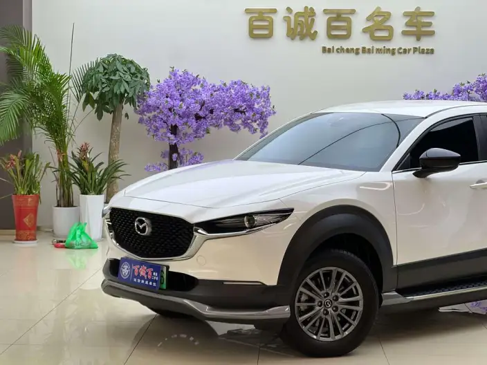 Mazda CX-30 EV 2021 Model EV Yuxiang Edition – фото 7