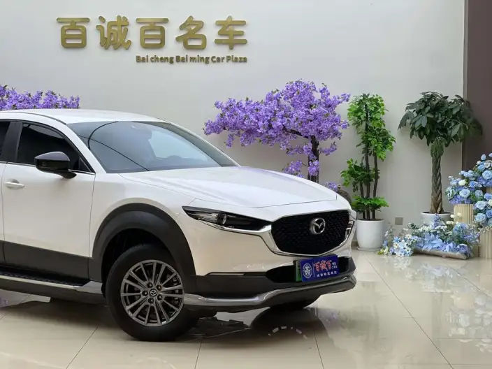 Mazda CX-30 EV 2021 Model EV Yuxiang Edition – фото 8