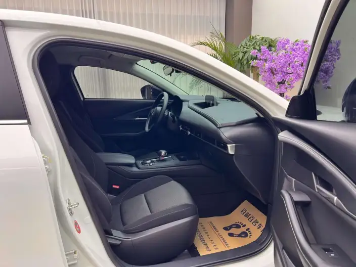 Mazda CX-30 EV 2021 Model EV Yuxiang Edition – фото 9