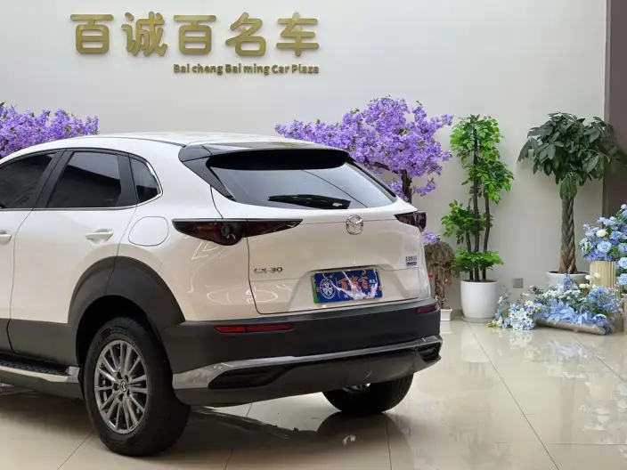Mazda CX-30 EV 2021 Model EV Yuxiang Edition – фото 10
