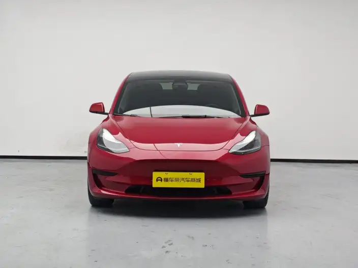 Model 3 2022 Model Rear-wheel drive version – фото 2