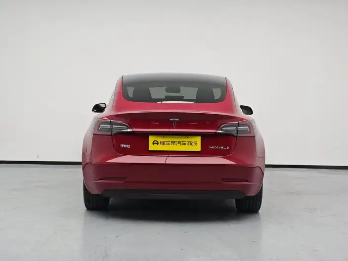 Model 3 2022 Model Rear-wheel drive version – фото 6