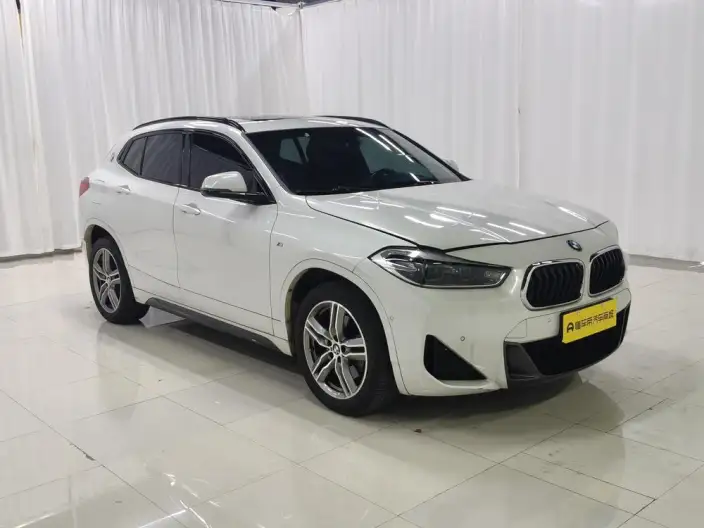 BMW X2 2020 Model sDrive25i Leading Model M Sports Set – фото 3