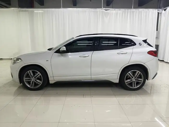 BMW X2 2020 Model sDrive25i Leading Model M Sports Set – фото 4