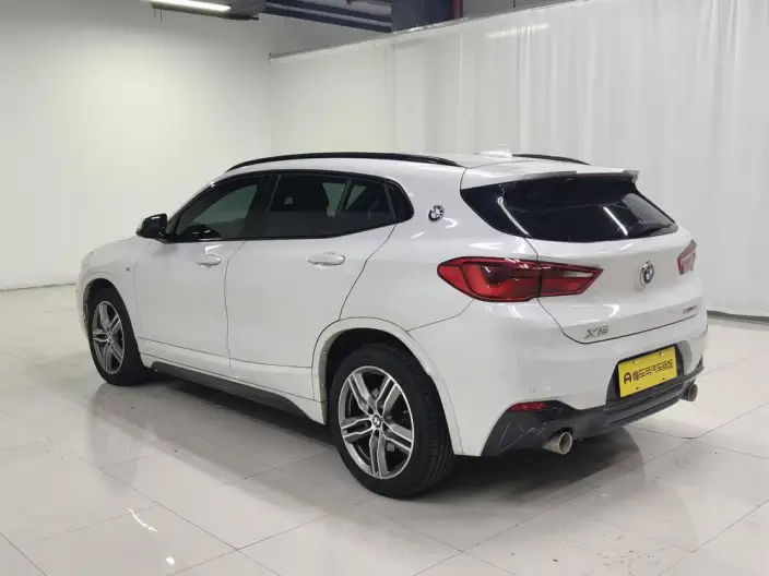 BMW X2 2020 Model sDrive25i Leading Model M Sports Set – фото 5