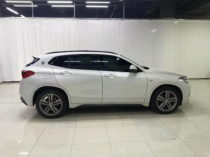 BMW X2 2020 Model sDrive25i Leading Model M Sports Set – фото 8