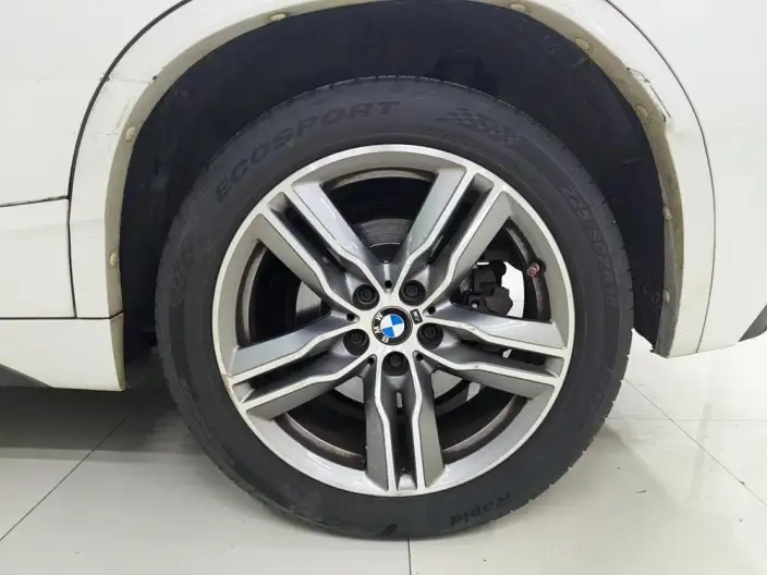 BMW X2 2020 Model sDrive25i Leading Model M Sports Set – фото 9