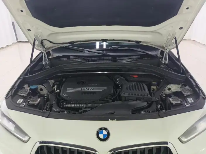 BMW X2 2020 Model sDrive25i Leading Model M Sports Set – фото 10