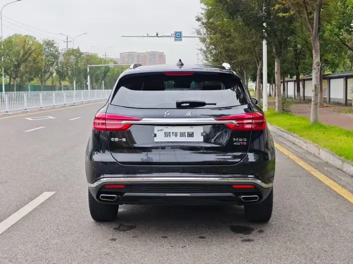 Hongqi HS5 2022 Model Facelift 2.0T Smart Flag Enjoy Edition – фото 6