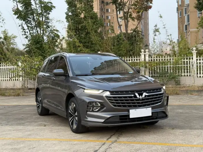Wuling Victory 2022 Model 280T CVT Flagship Model – фото 3
