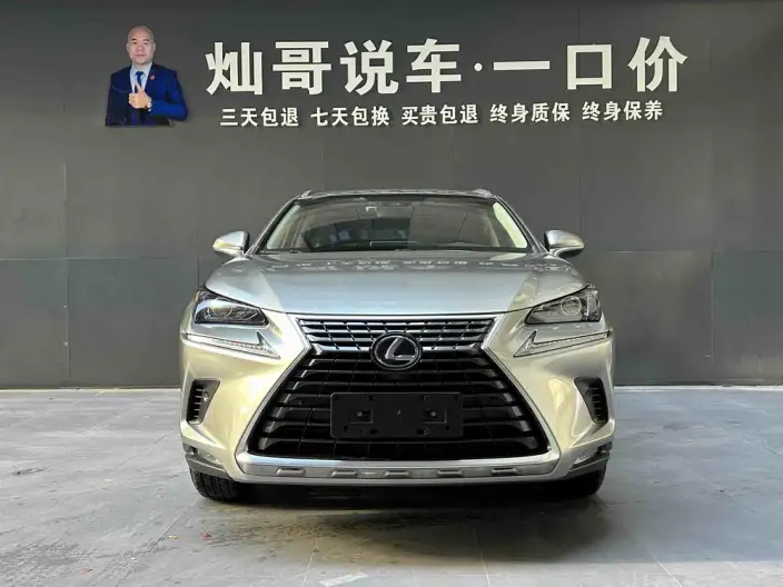 Lexus NX 2020 Model 300h Qian Drive Fengshang Edition China VI – фото 2
