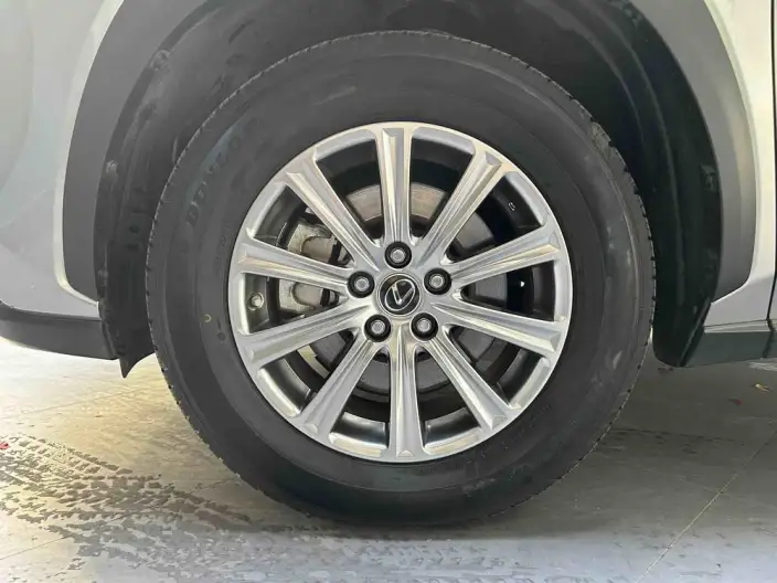 Lexus NX 2020 Model 300h Qian Drive Fengshang Edition China VI – фото 5