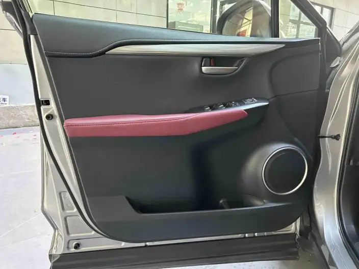 Lexus NX 2020 Model 300h Qian Drive Fengshang Edition China VI – фото 8