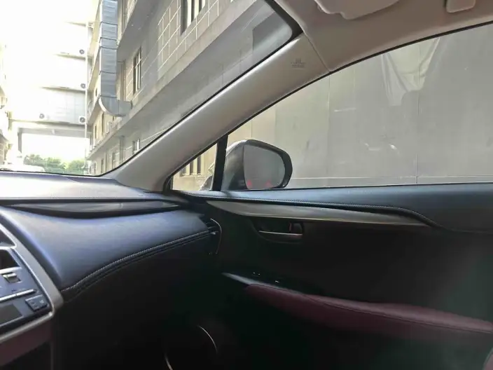 Lexus NX 2020 Model 300h Qian Drive Fengshang Edition China VI – фото 10