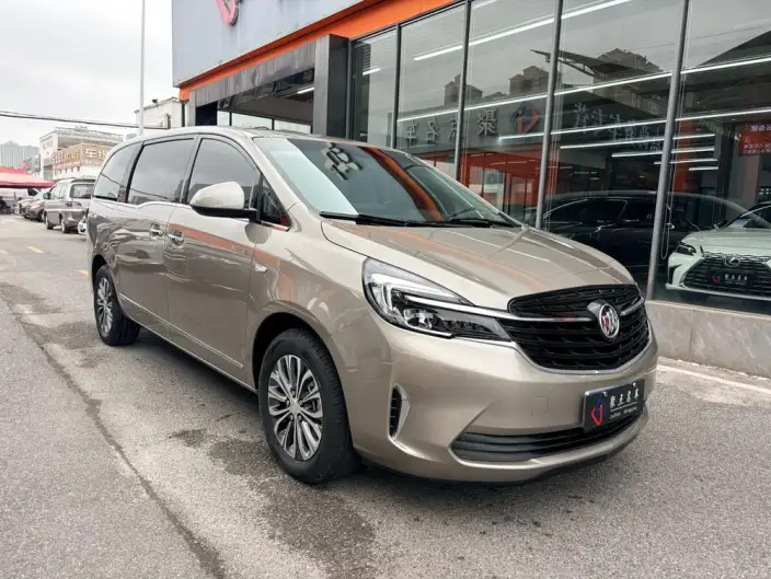 Buick GL8 2022 Model Business class 652T Luxury Model – фото 3