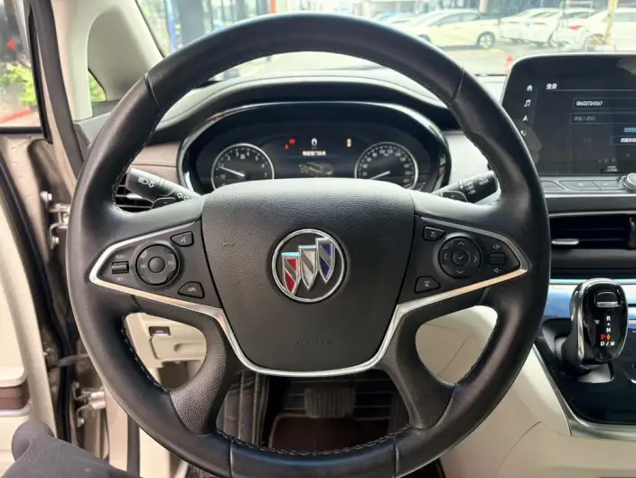 Buick GL8 2022 Model Business class 652T Luxury Model – фото 10