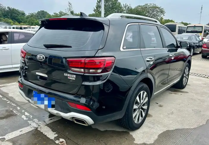 Kia KX7 2020 Model 2.0T Automatic 2WD GLS 7 seat – фото 6