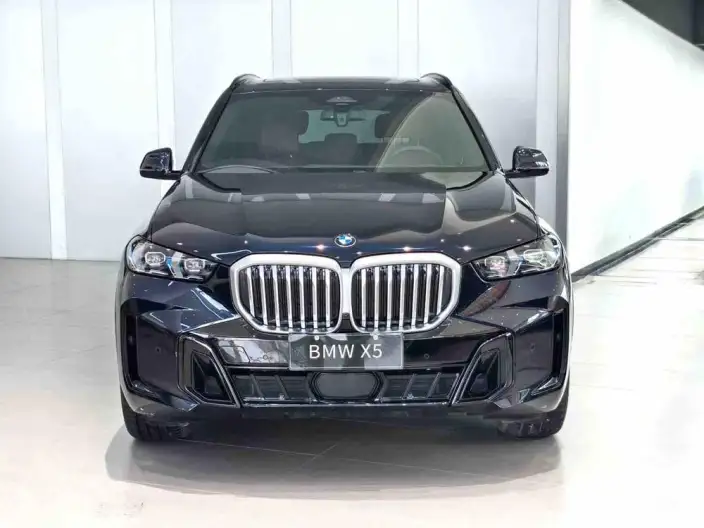 BMW X5 2023 Model xDrive40Li M Sports Night Set – фото 2
