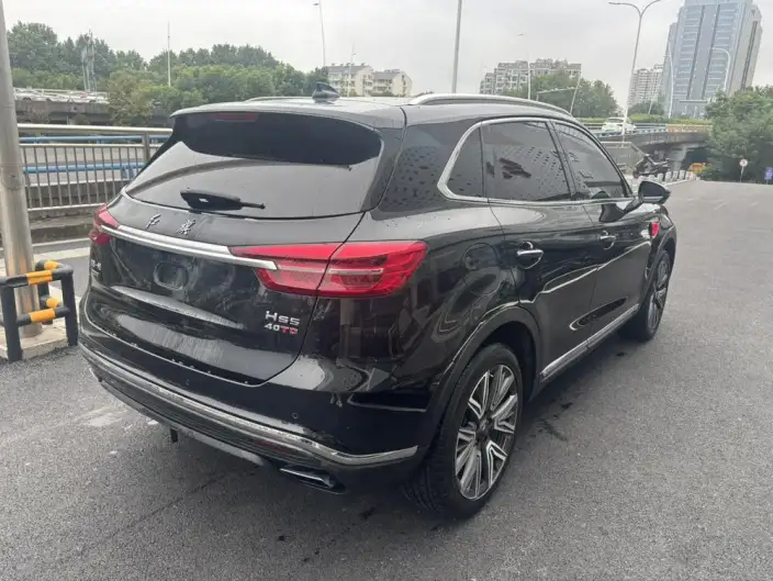 Hongqi HS5 2022 Model 2.0T Smart Flag Enjoy 4WD Edition – фото 7