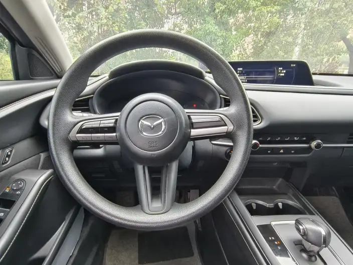 Mazda CX-30 EV 2021 Model EV Exclusive Edition – фото 8