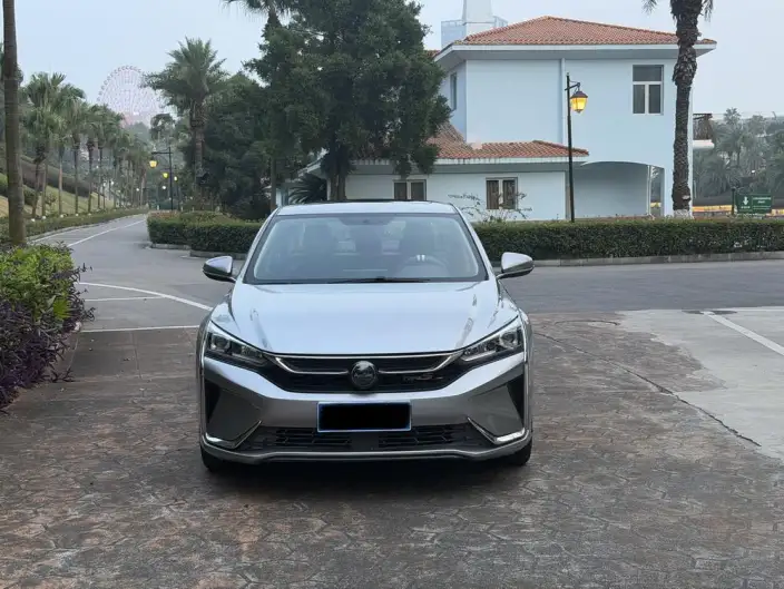 Yixuan 2020 Model 230T Automatic Dazzling version – фото 2