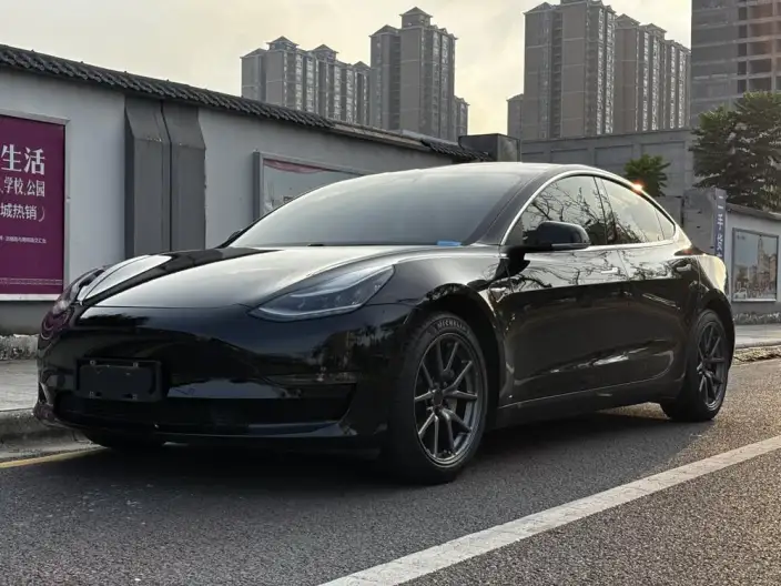 Model 3 2020 Model Long Battery Life Pro Rear-wheel drive version