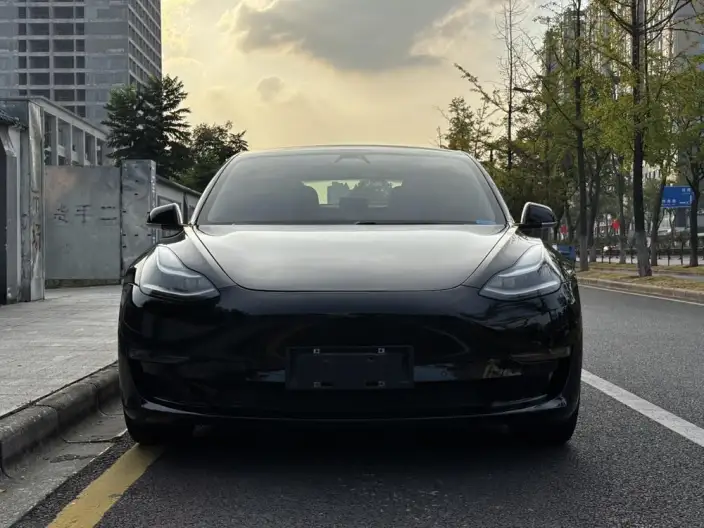 Model 3 2020 Model Long Battery Life Pro Rear-wheel drive version