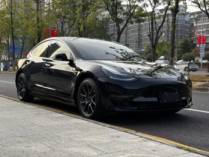 Model 3 2020 Model Long Battery Life Pro Rear-wheel drive version