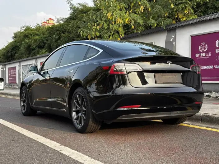 Model 3 2020 Model Long Battery Life Pro Rear-wheel drive version