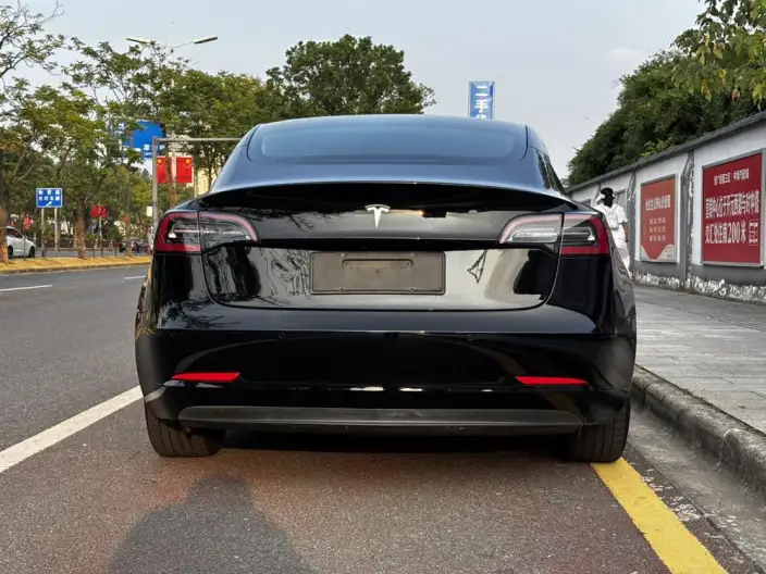 Model 3 2020 Model Long Battery Life Pro Rear-wheel drive version – фото 5