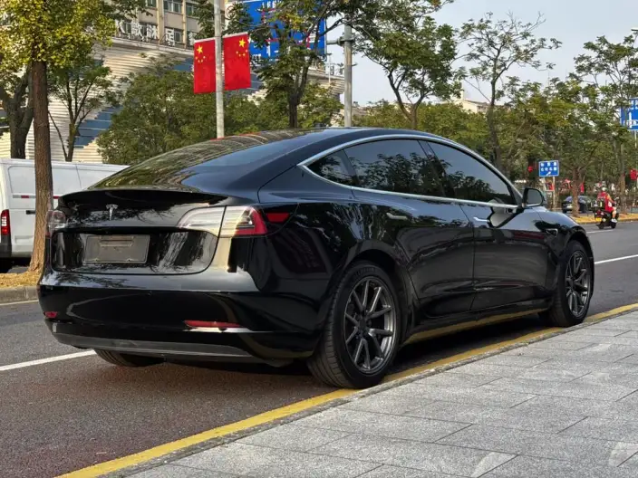 Model 3 2020 Model Long Battery Life Pro Rear-wheel drive version – фото 6